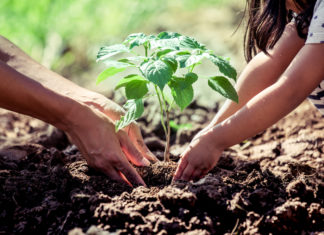 7 perfis para seguir e inspirar sobre conservação da natureza