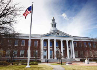 5 oportunidades em Harvard que você precisa conhecer