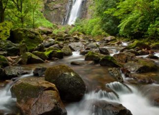 Turismo em áreas naturais é chave para o desenvolvimento econômico e social em regiões preservadas