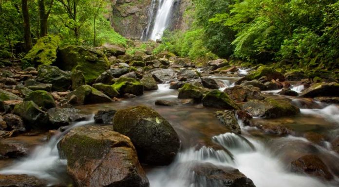 Turismo em áreas naturais é chave para o desenvolvimento econômico e social em regiões preservadas