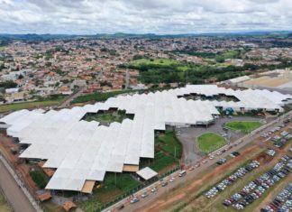 FEMAGRI apresenta novas técnicas sustentáveis para a cultura do café e amplia conhecimentos de cafeicultores
