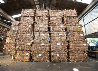 Fider Pescados recicla 13,2 toneladas de embalagens