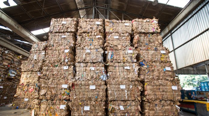 Fider Pescados recicla 13,2 toneladas de embalagens