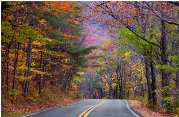 Estradas do sul dos EUA são um convite às road trips