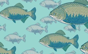 A MULTIPLICAÇÃO DOS PEIXES. NOVAS POLÍTICAS PÚBLICAS BUSCAM DESENVOLVER O SETOR