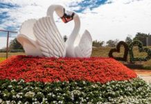 Expoflora inova o Passeio Turístico com visita ao Magic Garden Holambra
