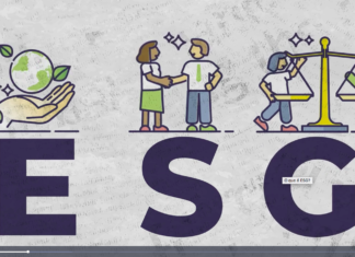 Os 3 pilares fundamentais para ações eficientes de ESG