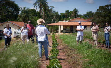 Com produção e torrefação própria, Olinto abre portas para turismo de café no interior de São Paulo